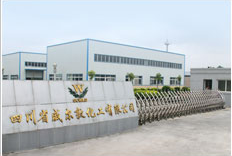 四川省威尔敦化工有限公司