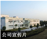 德阳市南塔化工有限责任公司