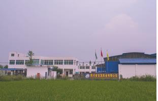 四川省龙发药业有限公司